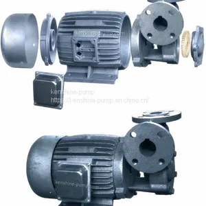 W Vortex Pump Booster Water Pump thumbnail-1