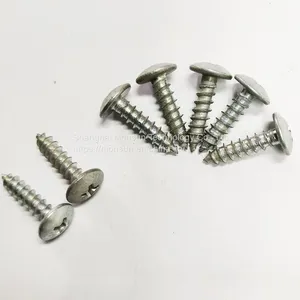 Mushroom Head (truss Head) Drywall Screws Coarse Thread Carbon Steel Screws Manufacturer thumbnail-1