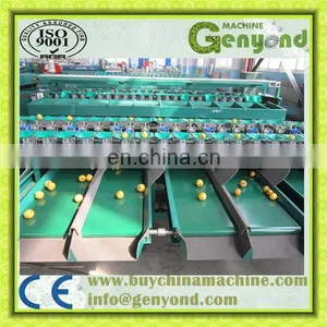 Sorting Grading Machine of Fruits and Vegetables thumbnail-3
