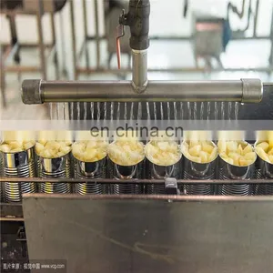 Commercial Canned Pineapple Process Line / Pineapple Slices Canning Machine thumbnail-2