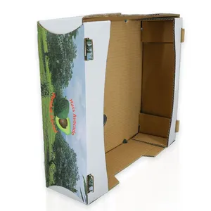 Corrugated Fruit Box for Avocado Printed Cardboard Packaging for Fresh Produce thumbnail-3