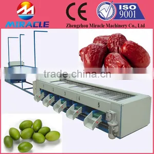 Picking Machine and Sorting Equipment of Round and Oval Fruit & Vegetable thumbnail-2