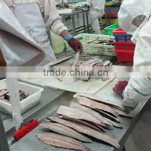 Frozen Spanish Mackerel Frozen Seafood in China thumbnail-1