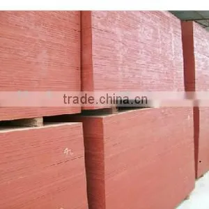 Face Veneer for Plywood thumbnail-6