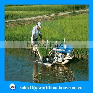 Hand Helding 4 Lines Riceplantingmachine thumbnail-1