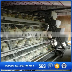 Automatic Chicken Layer Poultry Control Shed Equipment thumbnail-4