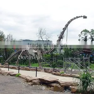 Museum Product Long Neck Dinosaur Skeleton thumbnail-2