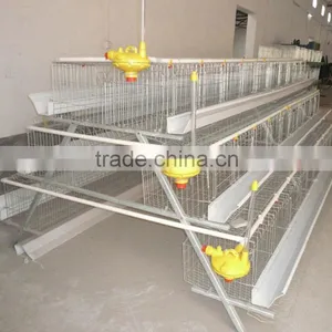 Stainless Steel Metal Chicken Farm Equipment thumbnail-1