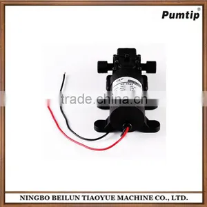 Car Washing Micro Diaphragm Pump DC12V 24V thumbnail-1