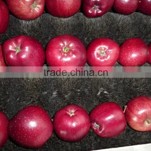 Export Huaniu Apples Factory thumbnail-4
