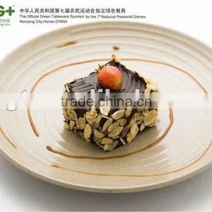 Fashion Design Biodegrable and Eco-friendly Wholesale Dinner Plate thumbnail-1