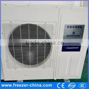 Cold Room Spare Parts Refrigeration Compressor Unit thumbnail-4