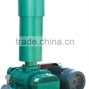 Roots Vacuum Pump thumbnail-1