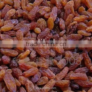 Sultana Raisin thumbnail-1