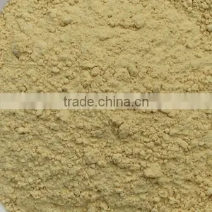 Natural Ginger Root Extract Powder Gingerol thumbnail-1