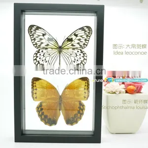 FOUSEN(043) Nature& Art Natural Species Handmade Photo Frames Designs thumbnail-1