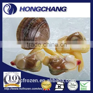 Frozen Boiled Surf Clam Meat With Stomach Removed thumbnail-1