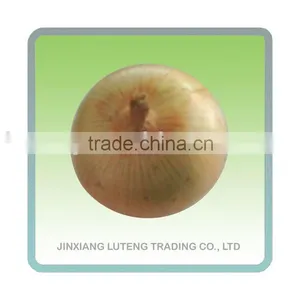 Fresh Yellow Onion thumbnail-1