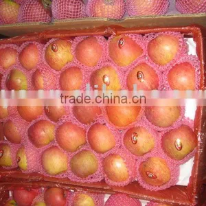 Sweet Fuji Apple thumbnail-1