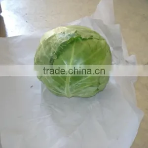 Round Cabbage/Flat Cabbage thumbnail-3