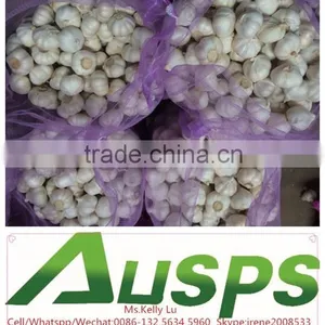 Garlic Price in China thumbnail-1