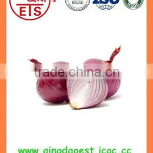 Best Quality Fresh Products Red/yellow Onion From China thumbnail-3