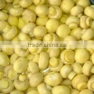 Champignon in Brine thumbnail-1