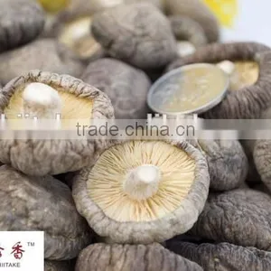 High Quality Dried Shiitake Mushroom, High Quality Shiitake Freeze Dried Shiitake Mushroom thumbnail-3