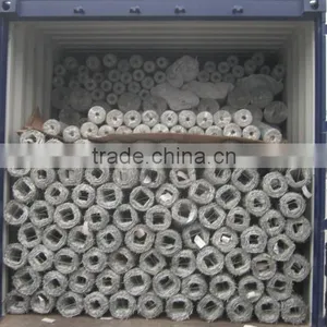Galvanized Welded Wire Mesh/Electro Galvanized Welded Wire Mesh/Hot Dipped Galvanized Welded Wire Mesh thumbnail-3