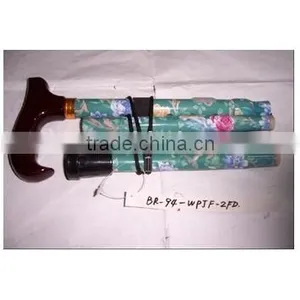 Walking Stick thumbnail-1