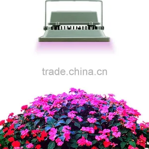 2017 NEWEST Full Spectrum Led Lights 100w for Greenhouse Lighting Flower Vegetative thumbnail-4