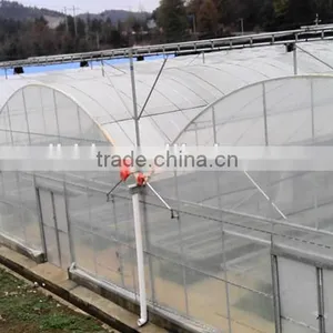 Factory Price Multi Functional Polythene Film Greenhouse For Vegetables/Fruits/Hydroponics thumbnail-6