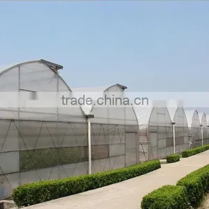 Agricultural Greenhouse for Hydroponics Vegetable thumbnail-1