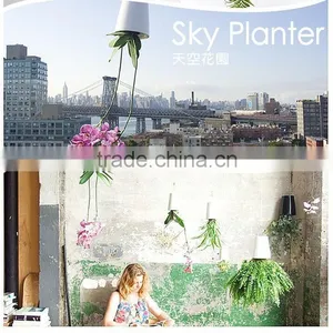 Plastic Sky Planter Creative Decorative Home Mini Sky Garden Flower Pot Beauty Sky Planter thumbnail-2