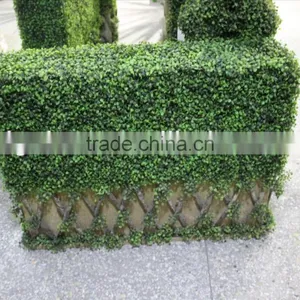 Best Price Artificial Foliage/artificial Green Wall Artificial Grass Plants thumbnail-1