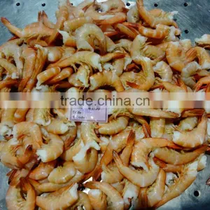 Pink Brown Shrimps thumbnail-1