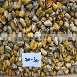 Seafood and Frozen Mussel With Half Shell thumbnail-1