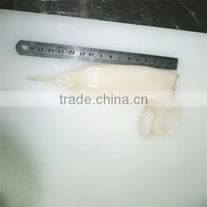 Best Seafood Frozen Squid U3 thumbnail-1