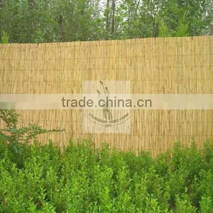 Reed Fence thumbnail-1
