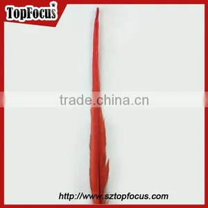 50-55cm Assorted Color Dyed Pheasant Tail Feathers thumbnail-2