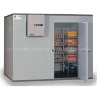 Cold Room Cold Storage Quick-freezer for Restaurant thumbnail-1