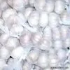 Sell Fresh Preserved Garlic thumbnail-1