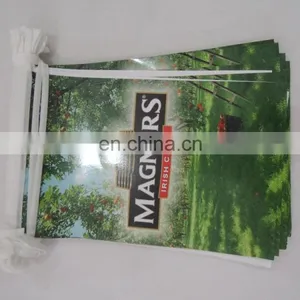 Custom PVC Flag Line/String Flags/bunting Flags thumbnail-1
