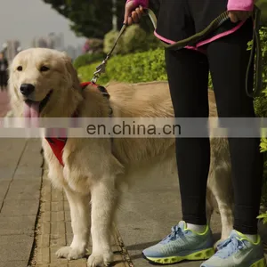 Remote Dog Training Colar thumbnail-2