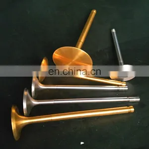 GAS Enigne Valve for MWM Deutz TBD620 V12 TD226b TGG2020 V12 V16 V20 Generator Spare Parts Valve Seats and Guides thumbnail-4