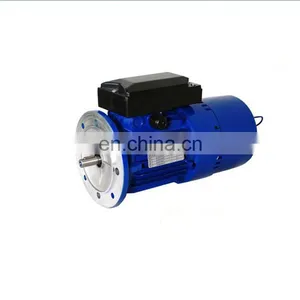 YE2-80M2-4-0.75KW Three Phase Electric Motor thumbnail-1