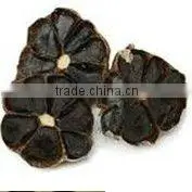 Black Garlic thumbnail-1