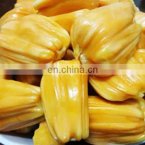 Fresh High Quality Jackfruit From Vietnam thumbnail-3
