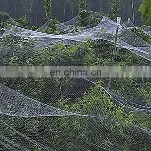 Low Price High Quality Agriculture Anti Hail Net Shade Net for Agriculture thumbnail-4