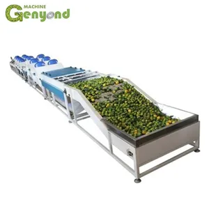 Orange/lemon Fruit Washing Waxing Drying Sorting Machinery/production Line thumbnail-6